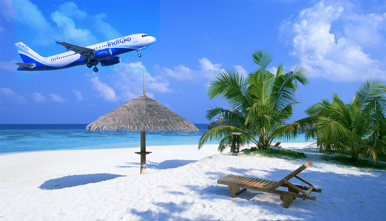 GOA1.jpg